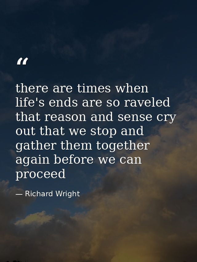 there are times when life's ends are so raveled that reason and sense cry out that we stop and gather them together agai — Richard Wright