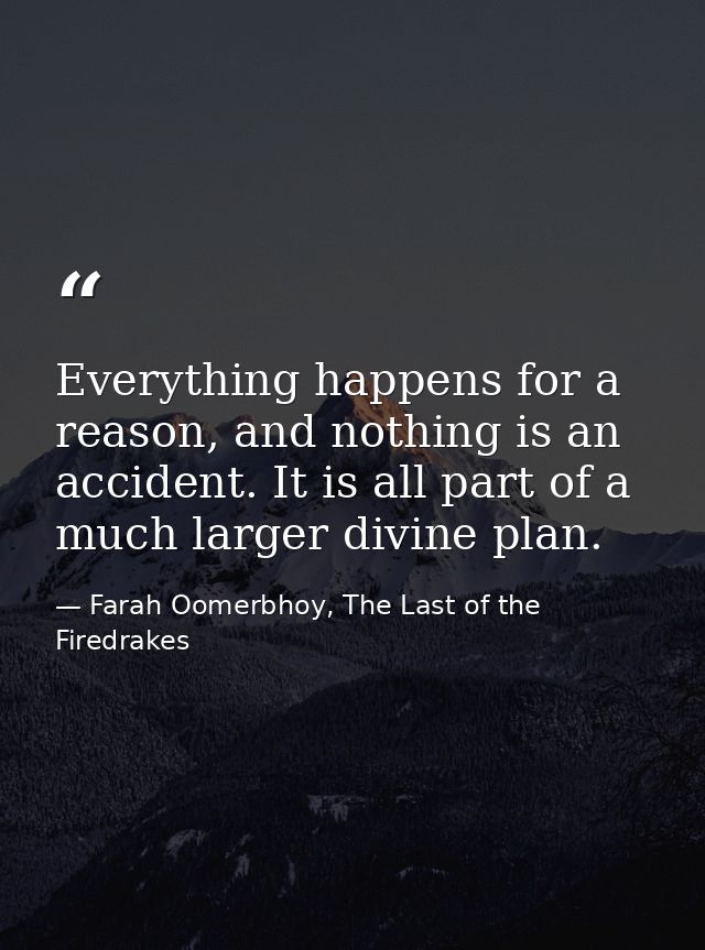 Everything happens for a reason, and nothing is an accident. It is all part of a much larger divine plan. — Farah Oomerbhoy, The Last of the Firedrakes