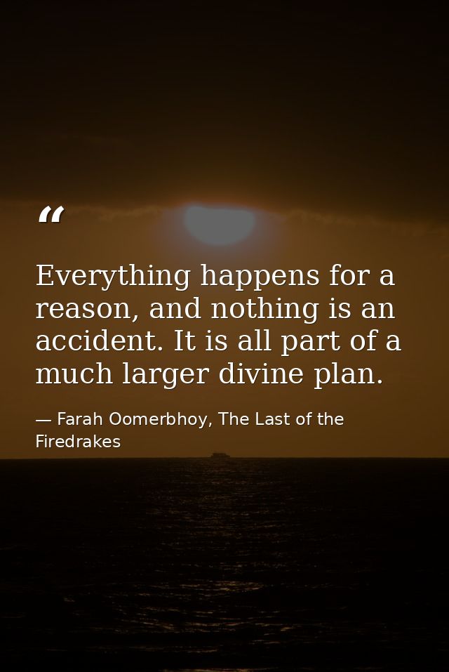 Everything happens for a reason, and nothing is an accident. It is all part of a much larger divine plan. — Farah Oomerbhoy, The Last of the Firedrakes