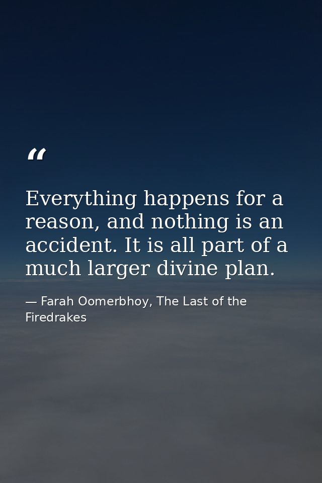 Everything happens for a reason, and nothing is an accident. It is all part of a much larger divine plan. — Farah Oomerbhoy, The Last of the Firedrakes