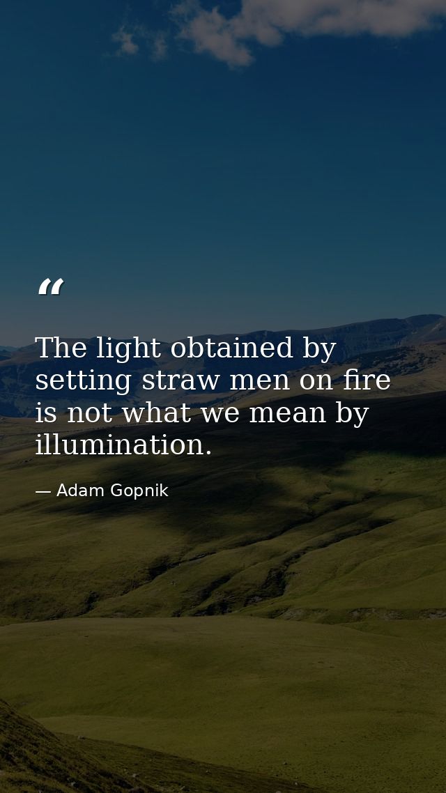 The light obtained by setting straw men on fire is not what we mean by illumination. — Adam Gopnik