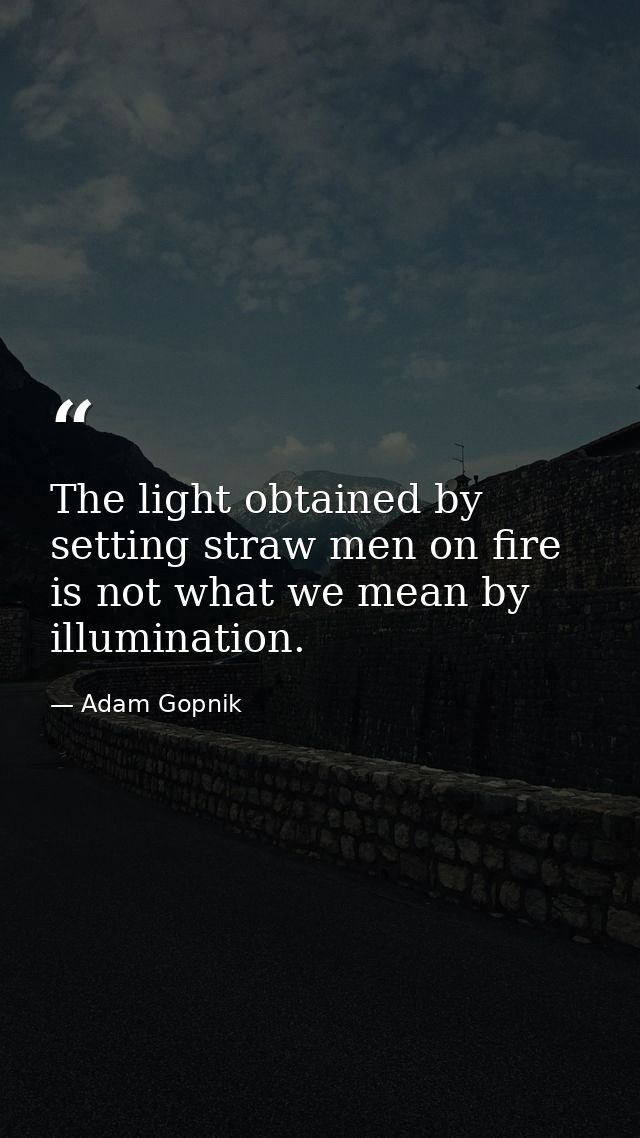 The light obtained by setting straw men on fire is not what we mean by illumination. — Adam Gopnik