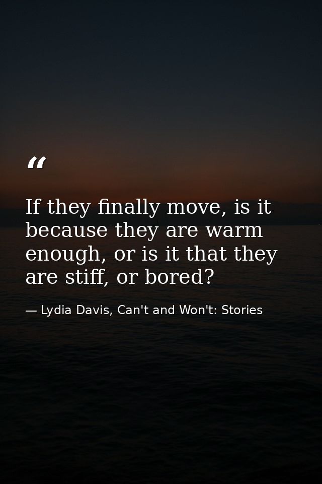 If they finally move, is it because they are warm enough, or is it that they are stiff, or bored? — Lydia Davis, Can't and Won't: Stories