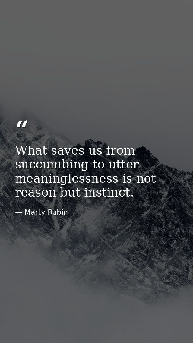 What saves us from succumbing to utter meaninglessness is not reason but instinct. — Marty Rubin