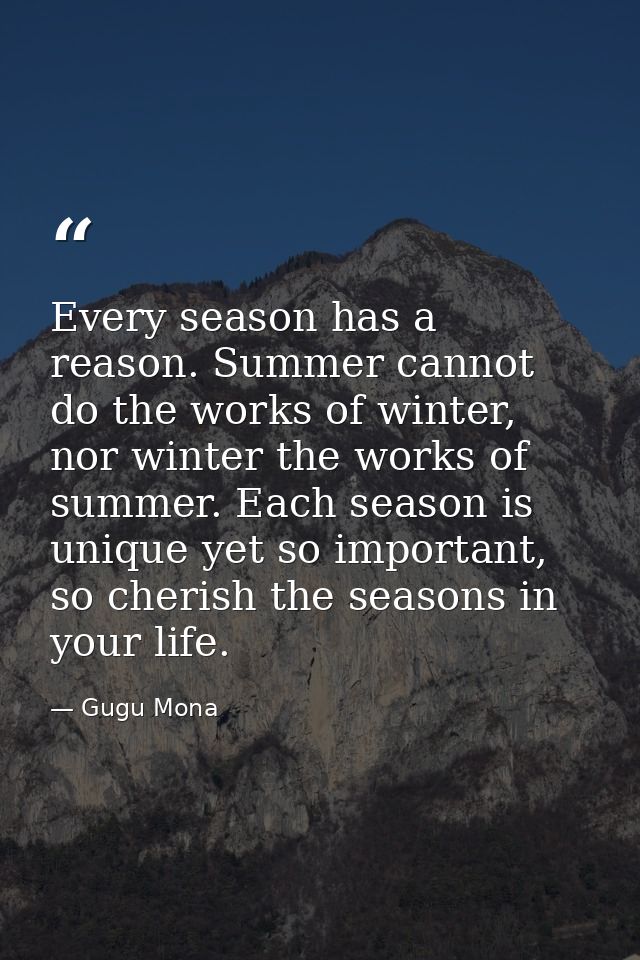 Every season has a reason. Summer cannot do the works of winter, nor winter the works of summer. Each season is unique y — Gugu Mona