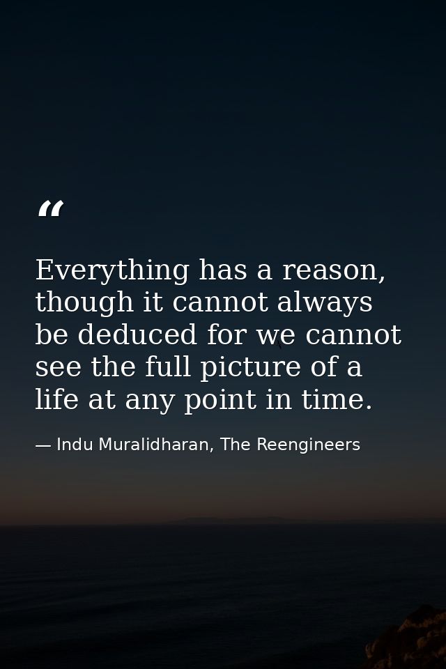 Everything has a reason, though it cannot always be deduced for we cannot see the full picture of a life at any point in — Indu Muralidharan, The Reengineers