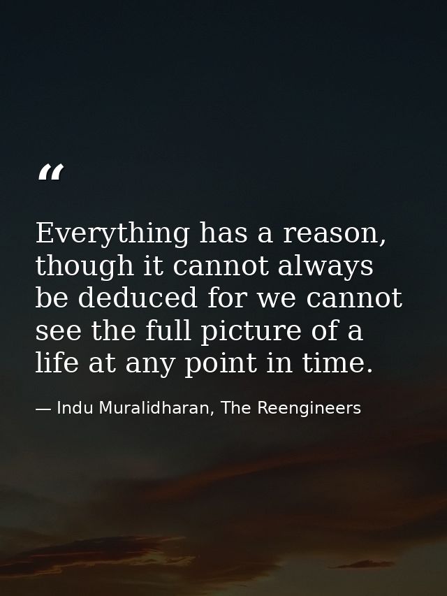 Everything has a reason, though it cannot always be deduced for we cannot see the full picture of a life at any point in — Indu Muralidharan, The Reengineers