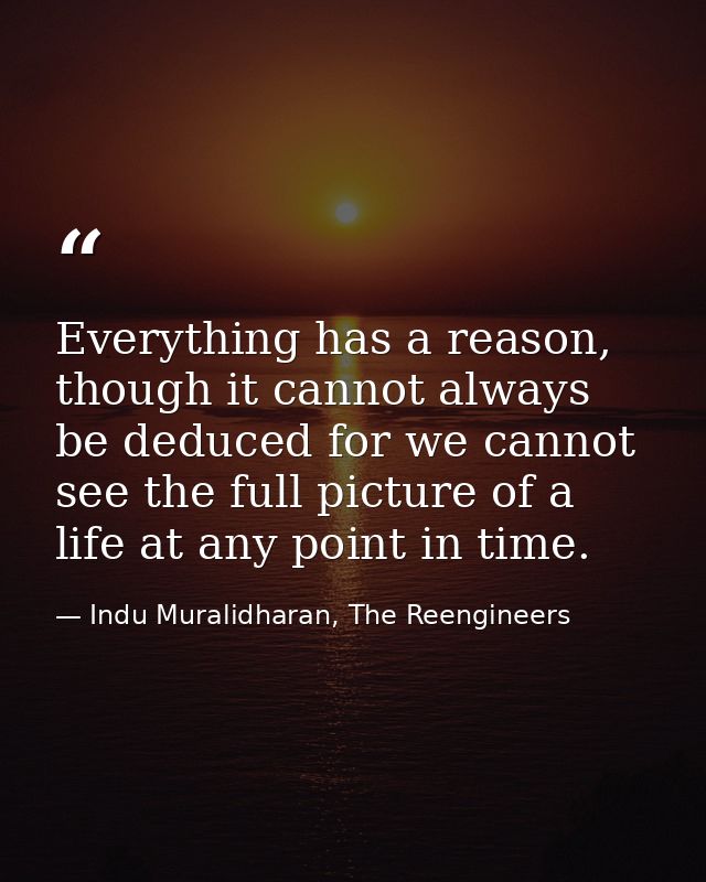 Everything has a reason, though it cannot always be deduced for we cannot see the full picture of a life at any point in — Indu Muralidharan, The Reengineers