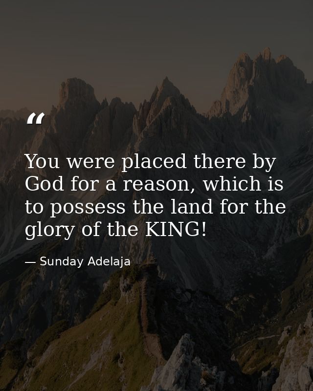 You were placed there by God for a reason, which is to possess the land for the glory of the KING! — Sunday Adelaja