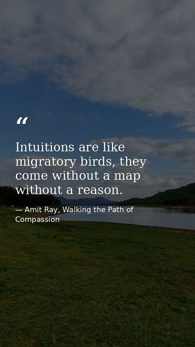 Intuitions are like migratory birds, they come without a map without a reason. — Amit Ray, Walking the Path of Compassion