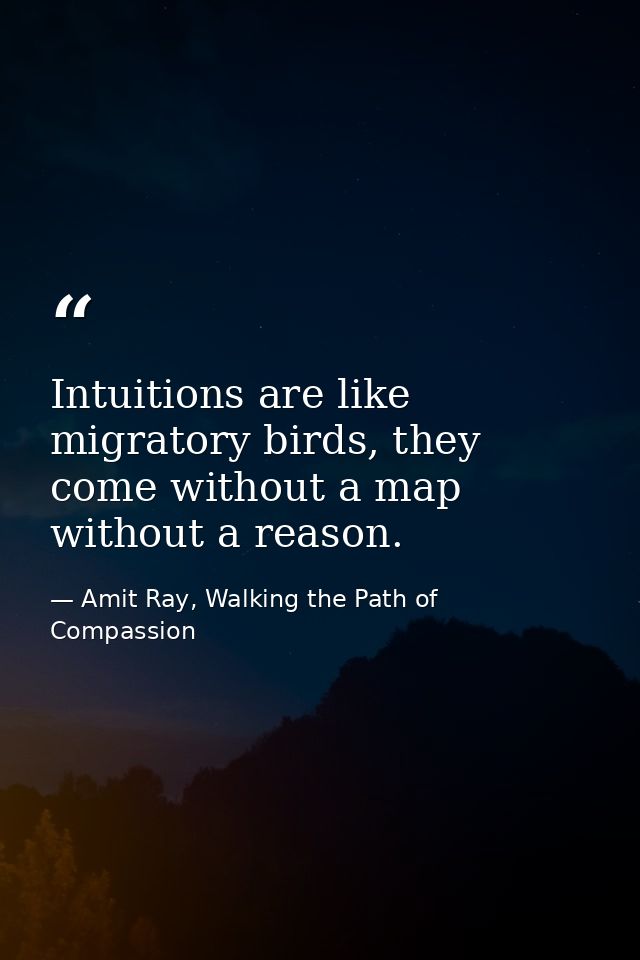 Intuitions are like migratory birds, they come without a map without a reason. — Amit Ray, Walking the Path of Compassion