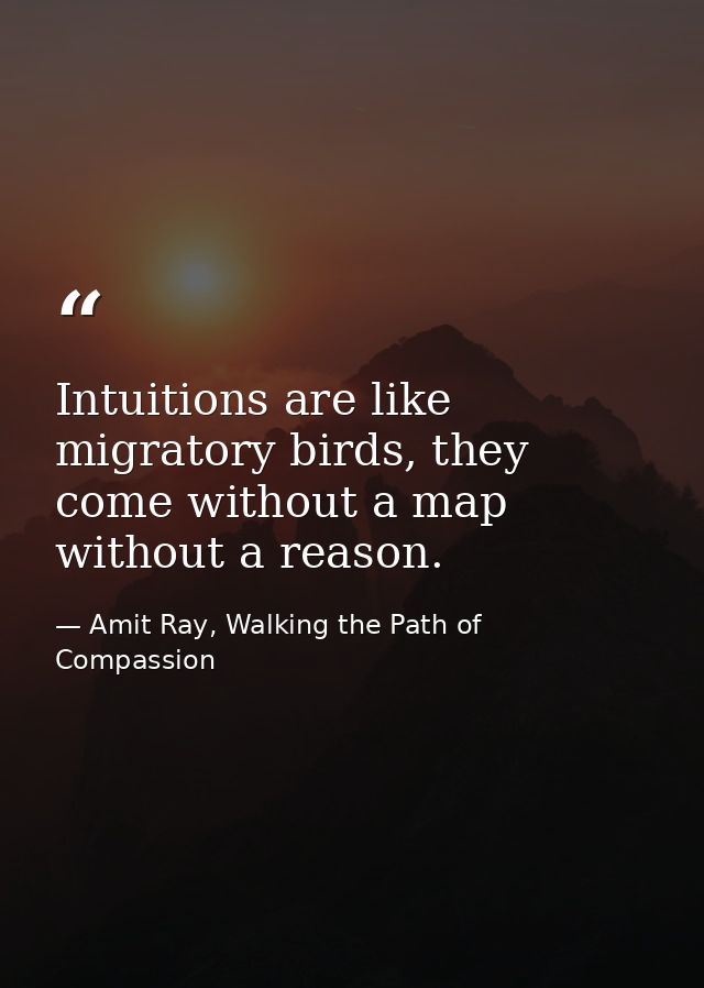 Intuitions are like migratory birds, they come without a map without a reason. — Amit Ray, Walking the Path of Compassion