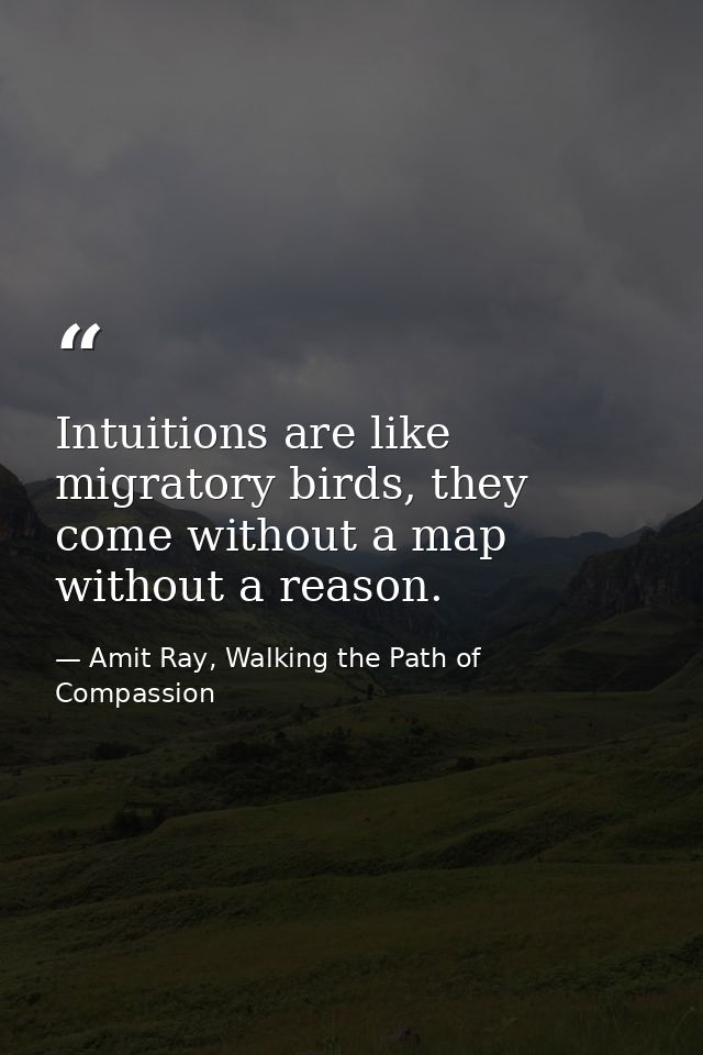 Intuitions are like migratory birds, they come without a map without a reason. — Amit Ray, Walking the Path of Compassion