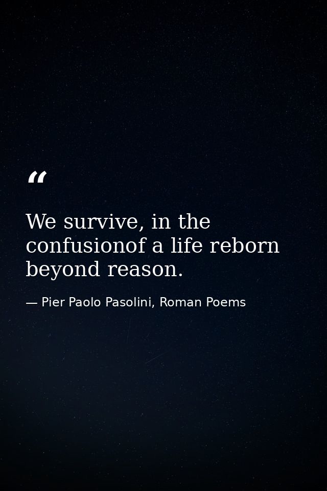 We survive, in the confusionof a life reborn beyond reason. — Pier Paolo Pasolini, Roman Poems
