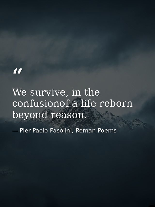 We survive, in the confusionof a life reborn beyond reason. — Pier Paolo Pasolini, Roman Poems