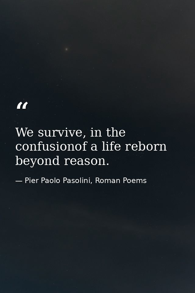 We survive, in the confusionof a life reborn beyond reason. — Pier Paolo Pasolini, Roman Poems