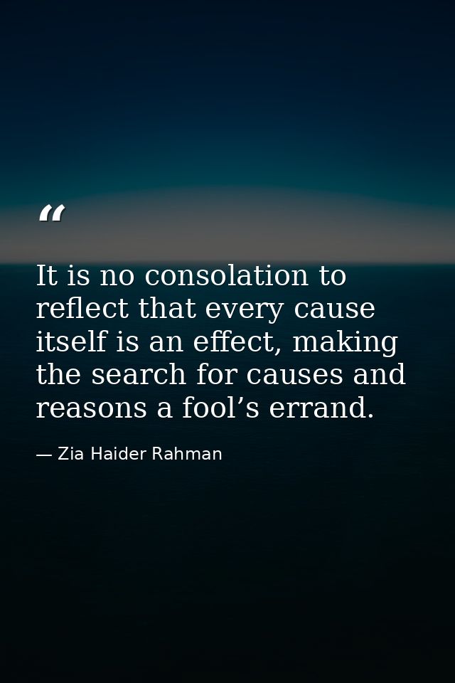 It is no consolation to reflect that every cause itself is an effect, making the search for causes and reasons a fool’s  — Zia Haider Rahman