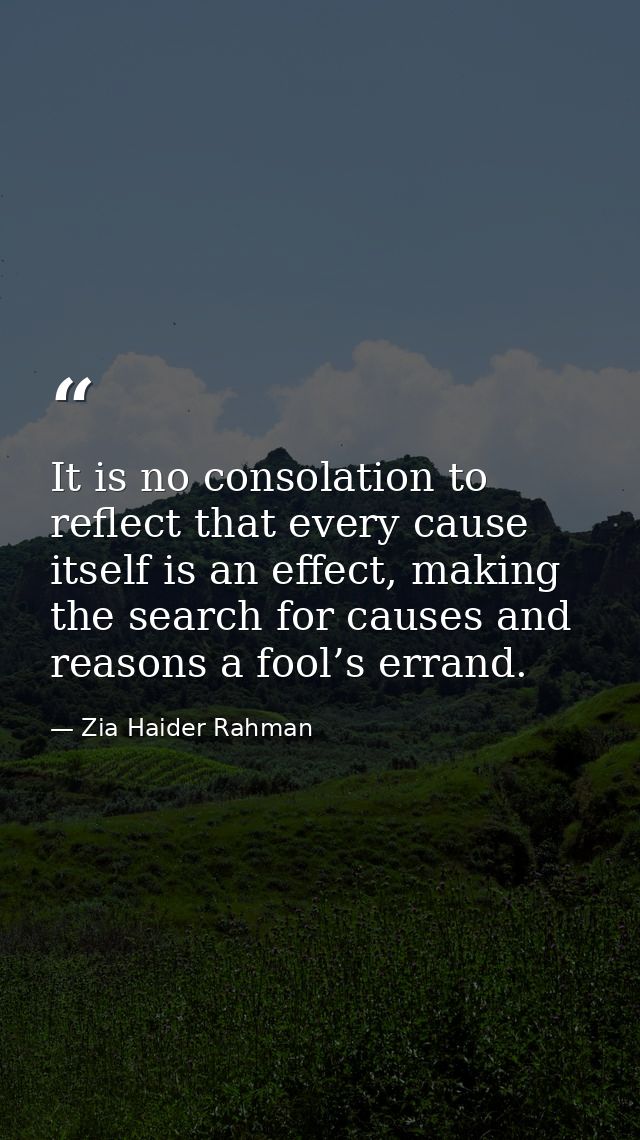It is no consolation to reflect that every cause itself is an effect, making the search for causes and reasons a fool’s  — Zia Haider Rahman