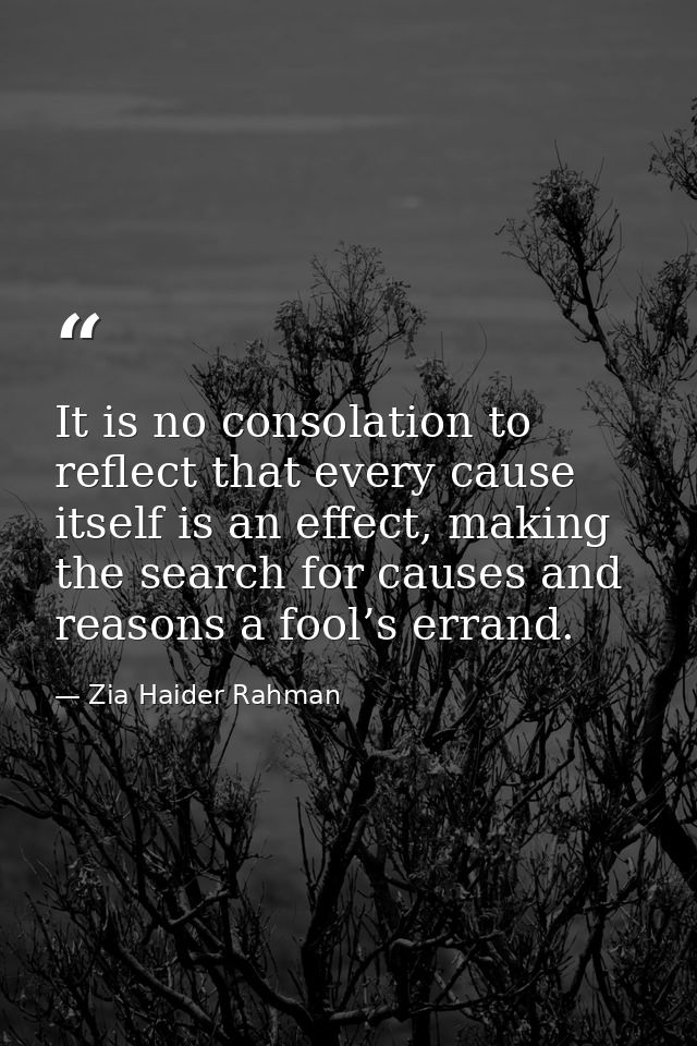 It is no consolation to reflect that every cause itself is an effect, making the search for causes and reasons a fool’s  — Zia Haider Rahman
