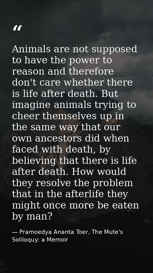 Animals are not supposed to have the power to reason and therefore don't care whether there is life after death. But ima — Pramoedya Ananta Toer, The Mute's Soliloquy: a Memoir