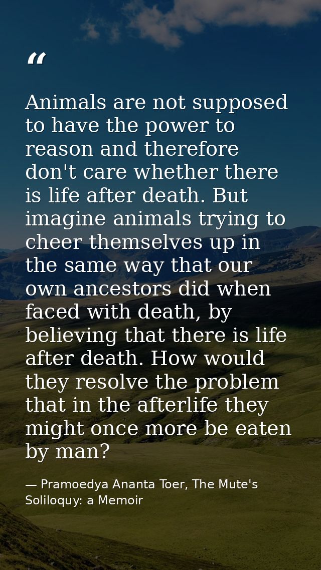 Animals are not supposed to have the power to reason and therefore don't care whether there is life after death. But ima — Pramoedya Ananta Toer, The Mute's Soliloquy: a Memoir