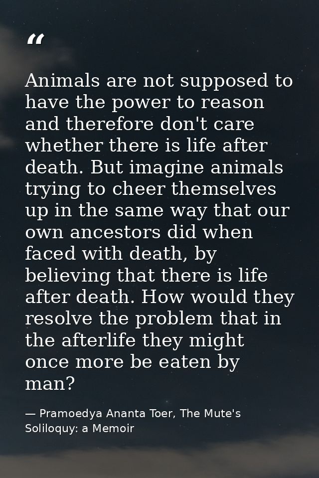Animals are not supposed to have the power to reason and therefore don't care whether there is life after death. But ima — Pramoedya Ananta Toer, The Mute's Soliloquy: a Memoir