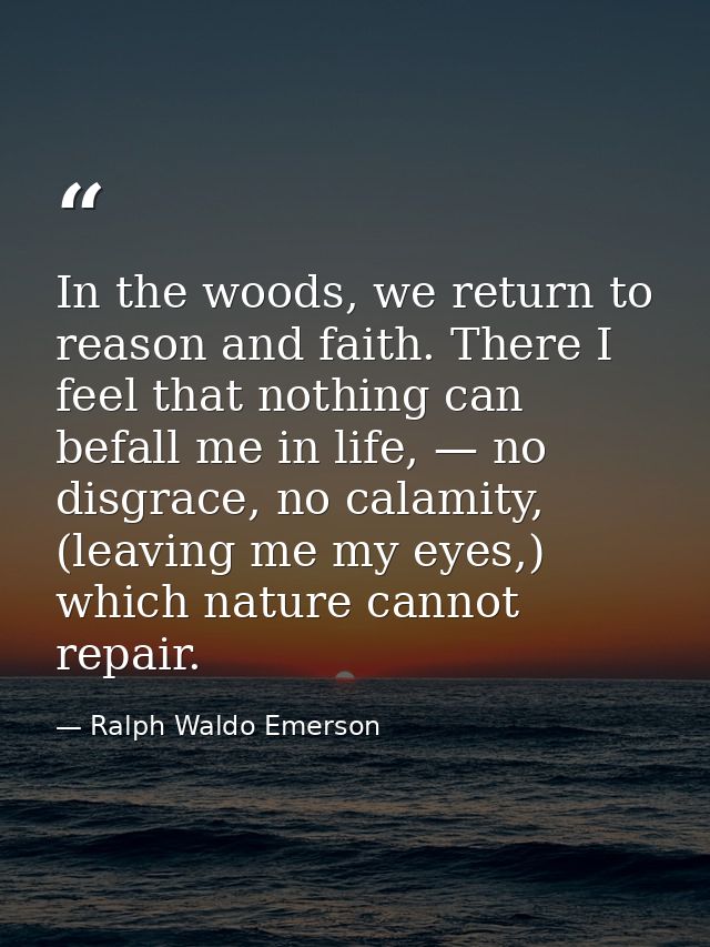 In the woods, we return to reason and faith. There I feel that nothing can befall me in life, — no disgrace, no calamity — Ralph Waldo Emerson