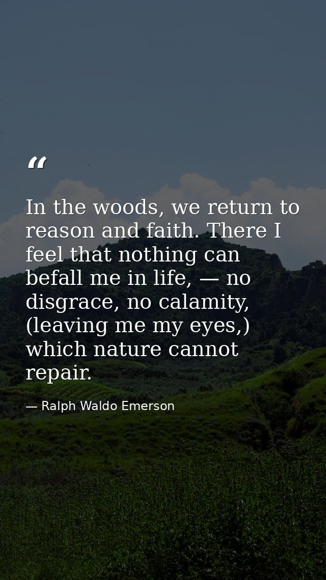 In the woods, we return to reason and faith. There I feel that nothing can befall me in life, — no disgrace, no calamity — Ralph Waldo Emerson