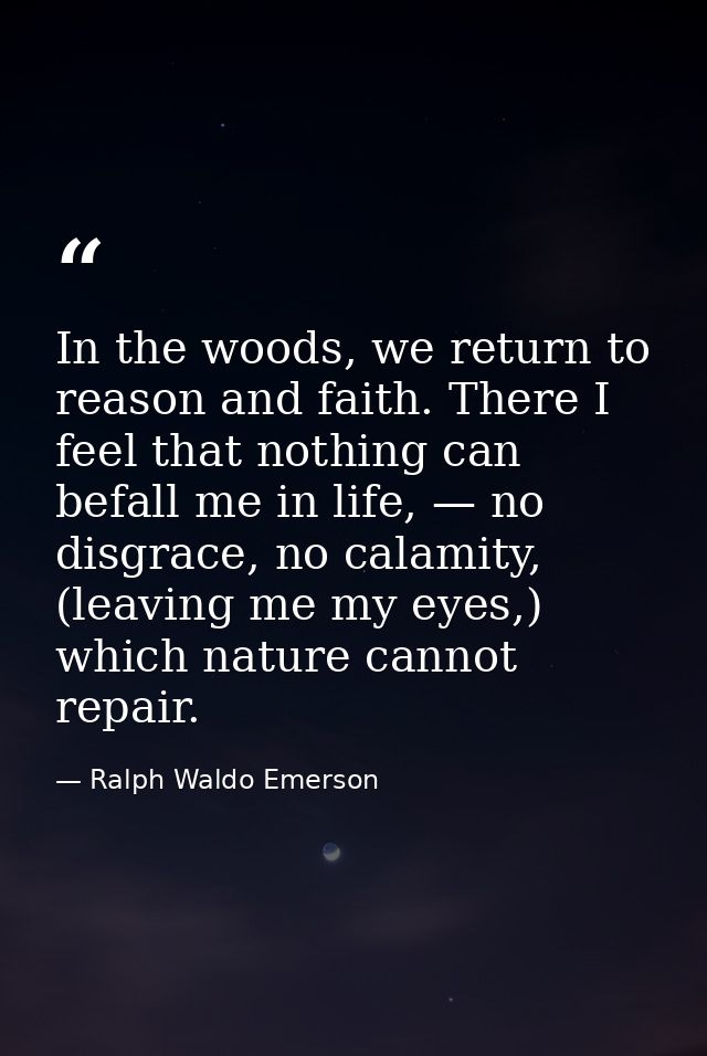 In the woods, we return to reason and faith. There I feel that nothing can befall me in life, — no disgrace, no calamity — Ralph Waldo Emerson