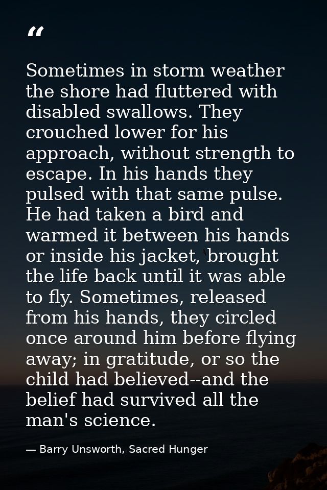 Sometimes in storm weather the shore had fluttered with disabled swallows. They crouched lower for his approach, without — Barry Unsworth, Sacred Hunger