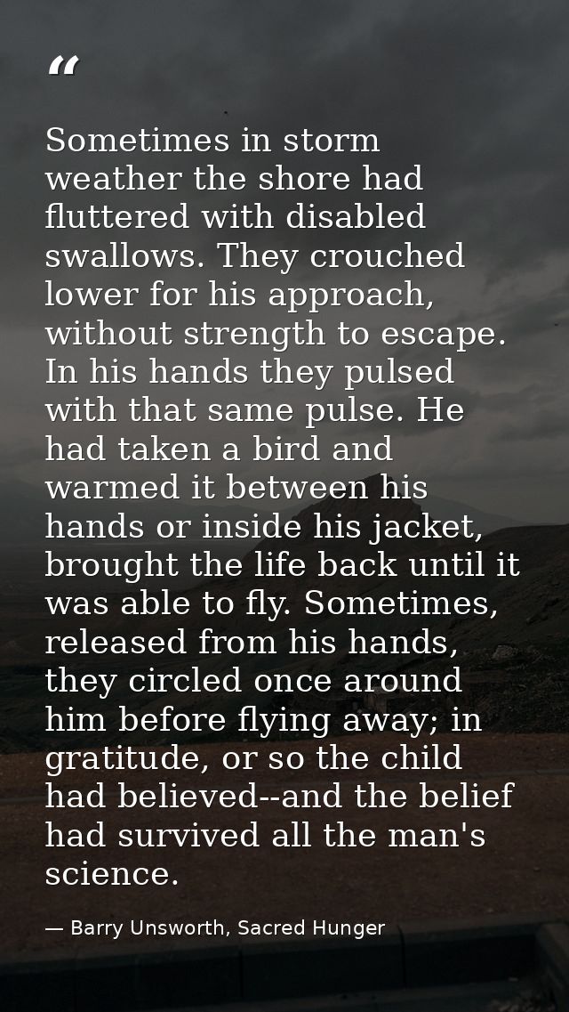Sometimes in storm weather the shore had fluttered with disabled swallows. They crouched lower for his approach, without — Barry Unsworth, Sacred Hunger