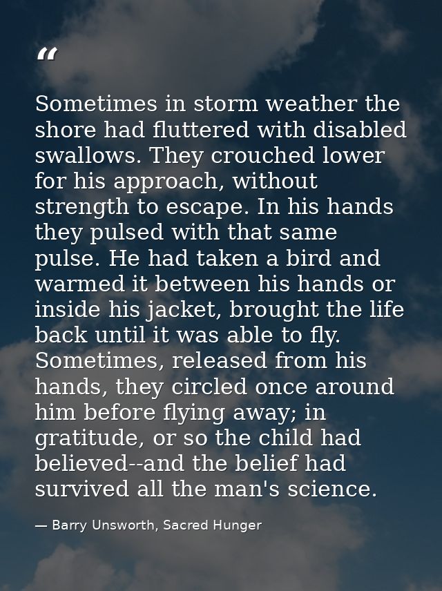 Sometimes in storm weather the shore had fluttered with disabled swallows. They crouched lower for his approach, without — Barry Unsworth, Sacred Hunger