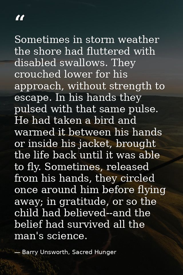 Sometimes in storm weather the shore had fluttered with disabled swallows. They crouched lower for his approach, without — Barry Unsworth, Sacred Hunger