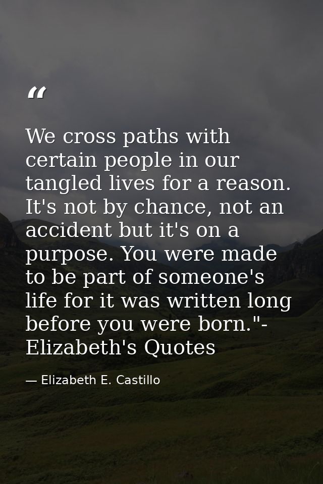 We cross paths with certain people in our tangled lives for a reason. It's not by chance, not an accident but it's on a  — Elizabeth E. Castillo