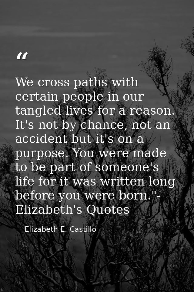 We cross paths with certain people in our tangled lives for a reason. It's not by chance, not an accident but it's on a  — Elizabeth E. Castillo
