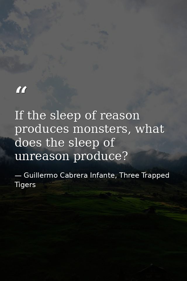 If the sleep of reason produces monsters, what does the sleep of unreason produce? — Guillermo Cabrera Infante, Three Trapped Tigers
