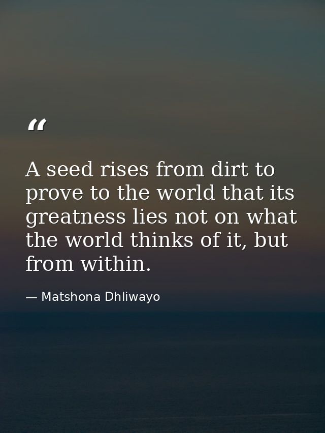 A seed rises from dirt to prove to the world that its greatness lies not on what the world thinks of it, but from within — Matshona Dhliwayo