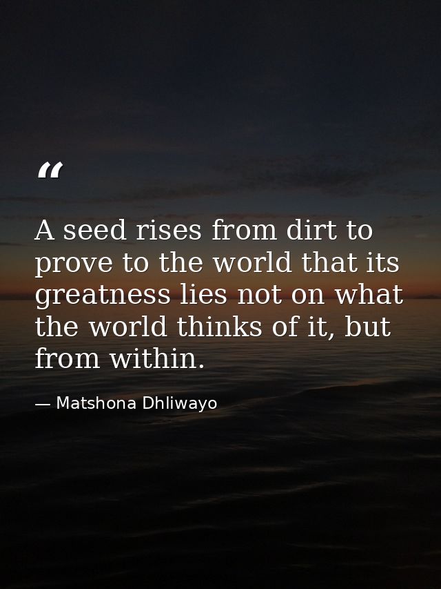 A seed rises from dirt to prove to the world that its greatness lies not on what the world thinks of it, but from within — Matshona Dhliwayo