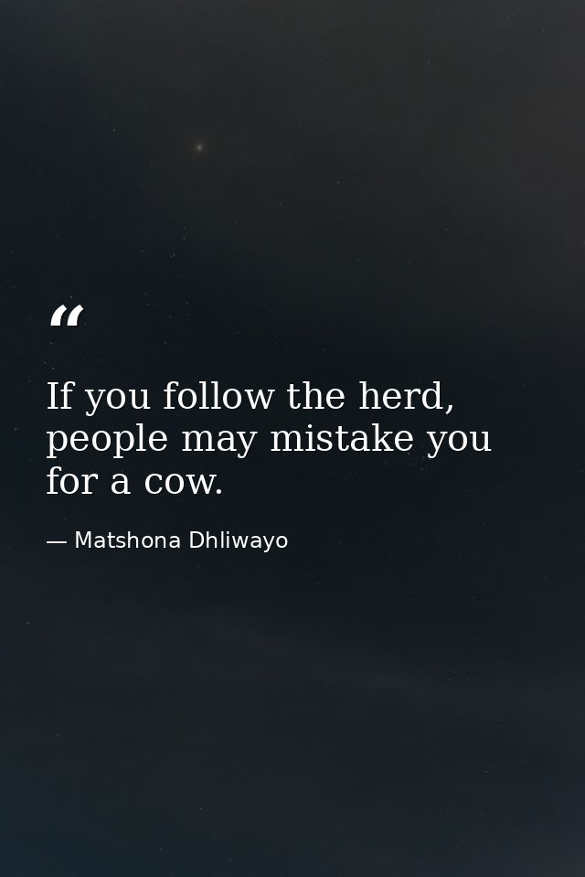 If you follow the herd, people may mistake you for a cow. — Matshona Dhliwayo