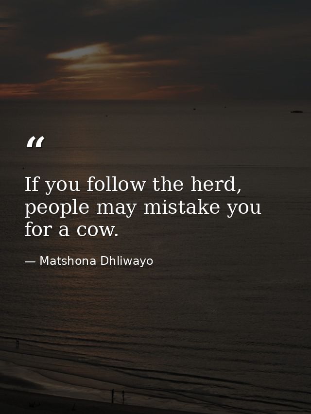 If you follow the herd, people may mistake you for a cow. — Matshona Dhliwayo
