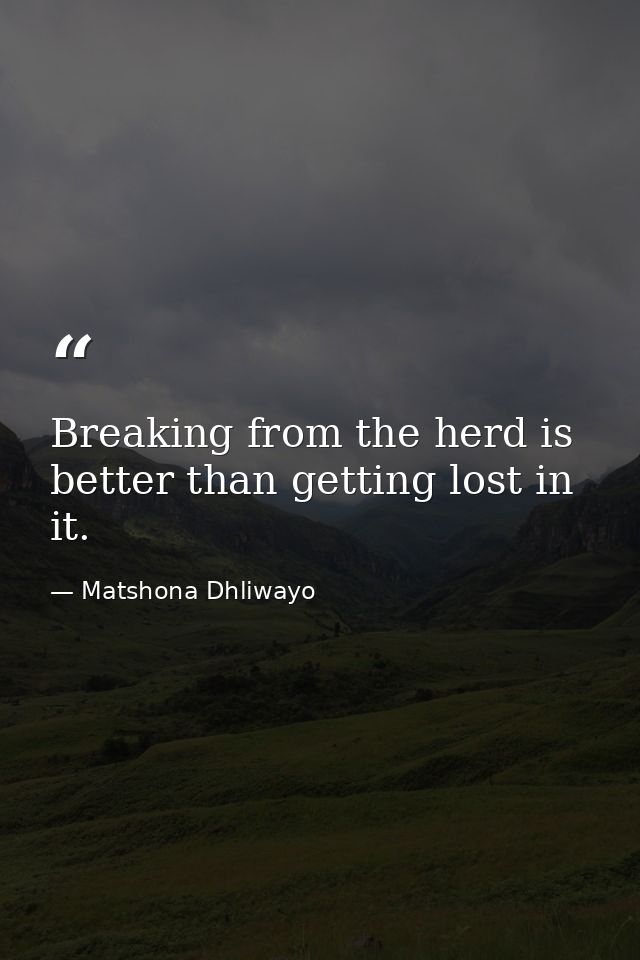 Breaking from the herd is better than getting lost in it. — Matshona Dhliwayo