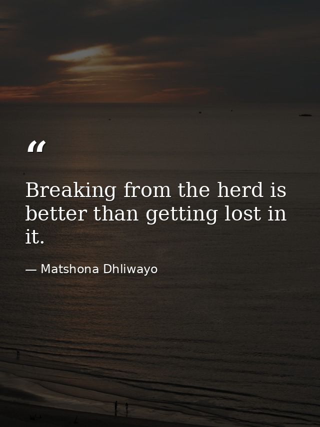 Breaking from the herd is better than getting lost in it. — Matshona Dhliwayo