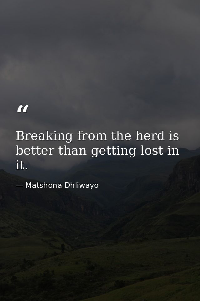 Breaking from the herd is better than getting lost in it. — Matshona Dhliwayo