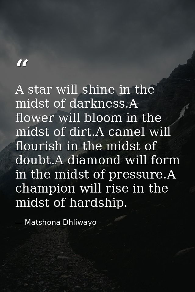 A star will shine in the midst of darkness.A flower will bloom in the midst of dirt.A camel will flourish in the midst o — Matshona Dhliwayo