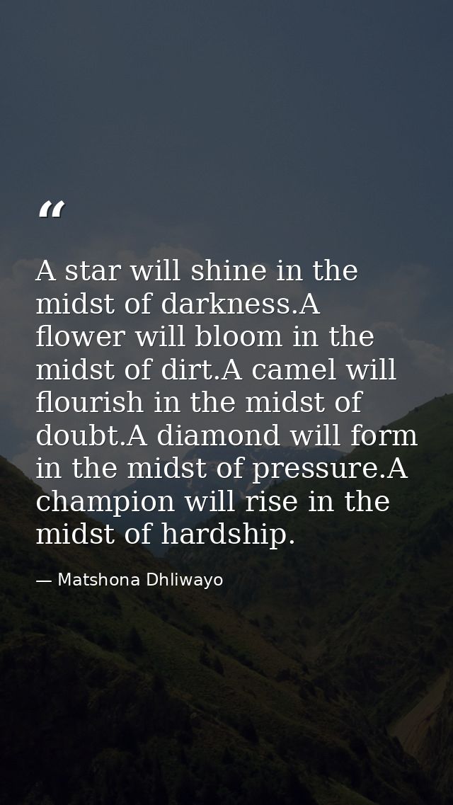 A star will shine in the midst of darkness.A flower will bloom in the midst of dirt.A camel will flourish in the midst o — Matshona Dhliwayo