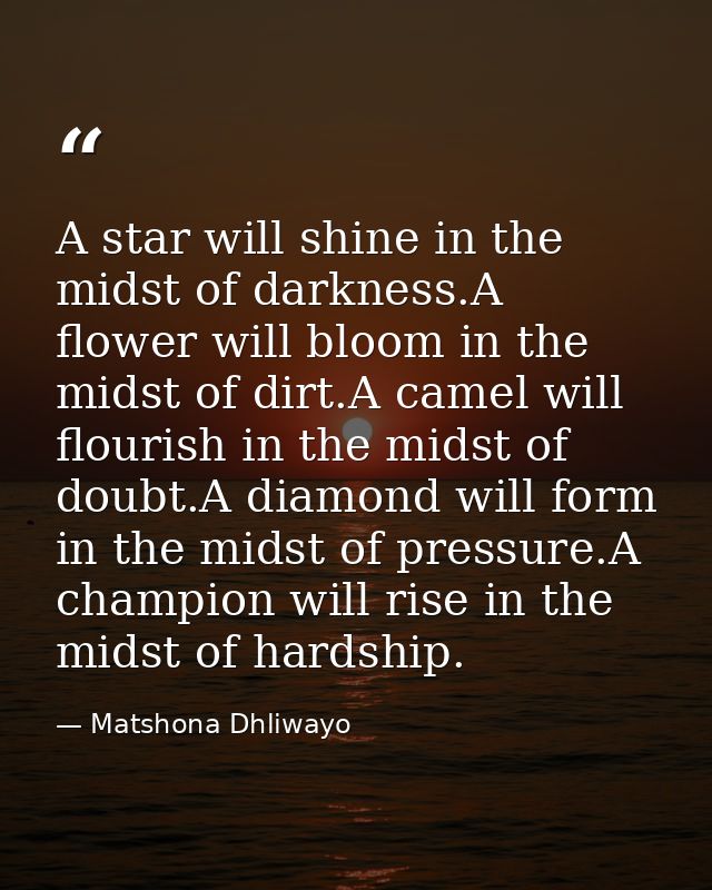 A star will shine in the midst of darkness.A flower will bloom in the midst of dirt.A camel will flourish in the midst o — Matshona Dhliwayo