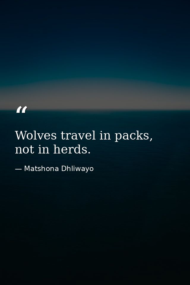 Wolves travel in packs, not in herds. — Matshona Dhliwayo
