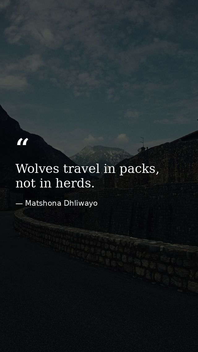 Wolves travel in packs, not in herds. — Matshona Dhliwayo