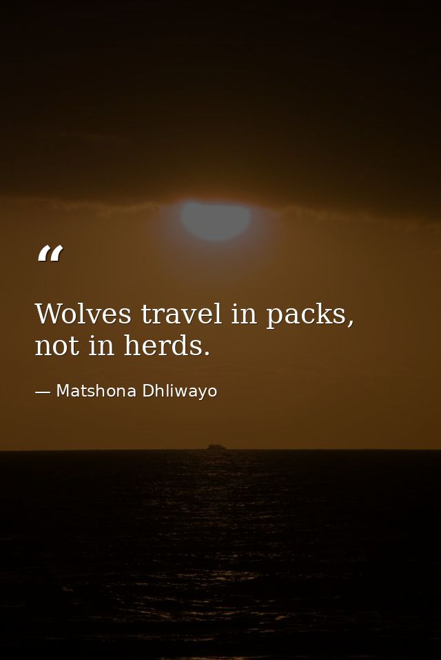Wolves travel in packs, not in herds. — Matshona Dhliwayo