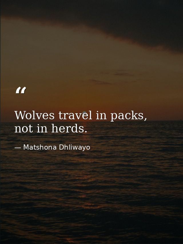Wolves travel in packs, not in herds. — Matshona Dhliwayo
